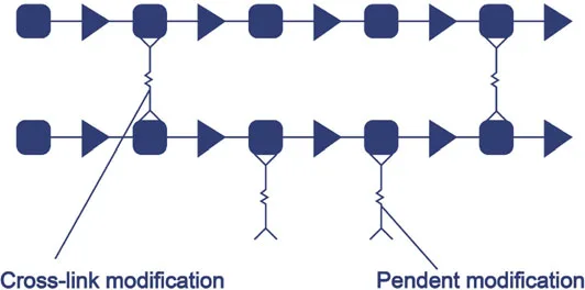 Fig 2. Modificación por entrecruzamiento frente a modificación colgante